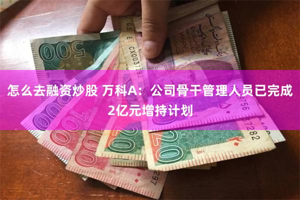 怎么去融资炒股 万科A：公司骨干管理人员已完成2亿元增持计划