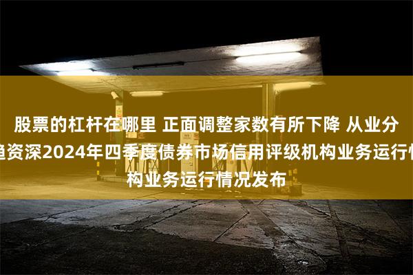 股票的杠杆在哪里 正面调整家数有所下降 从业分析师更趋资深2024年四季度债券市场信用评级机构业务运行情况发布