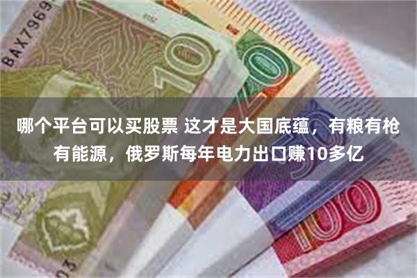 哪个平台可以买股票 这才是大国底蕴，有粮有枪有能源，俄罗斯每年电力出口赚10多亿