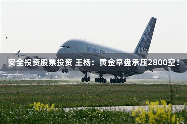 安全投资股票投资 王杨：黄金早盘承压2800空！