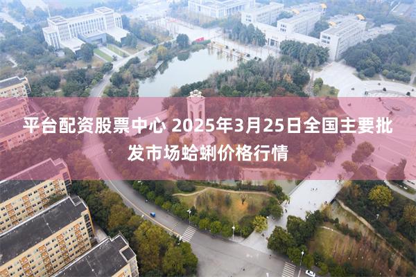 平台配资股票中心 2025年3月25日全国主要批发市场蛤蜊价格行情
