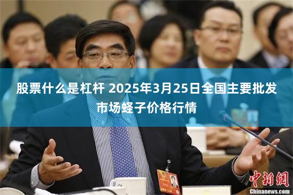 股票什么是杠杆 2025年3月25日全国主要批发市场蛏子价格行情