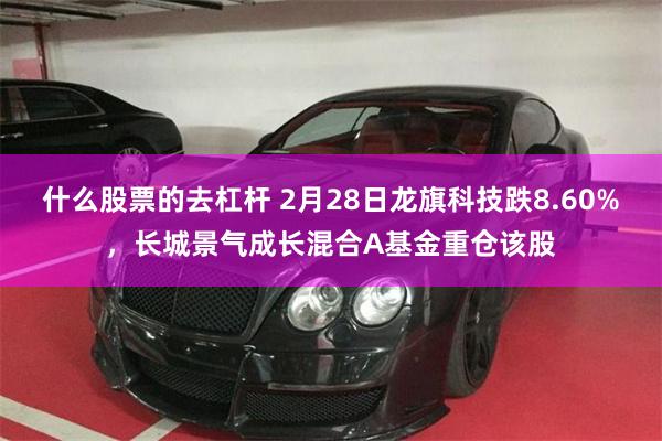 什么股票的去杠杆 2月28日龙旗科技跌8.60%，长城景气成长混合A基金重仓该股