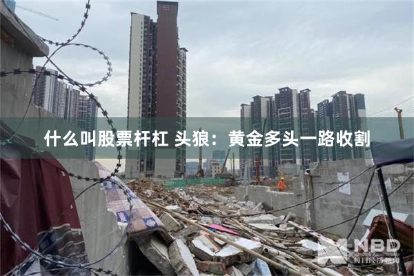 什么叫股票杆杠 头狼：黄金多头一路收割
