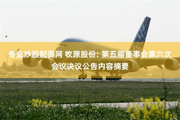 专业炒股配资网 牧原股份: 第五届董事会第六次会议决议公告内容摘要